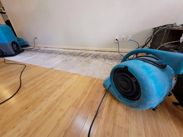 Professional Water Extraction technician working in Vandalia, MO